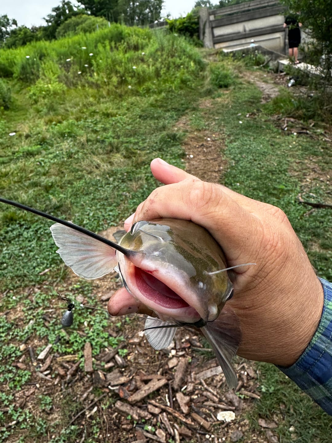 Customer photo review of Carbon Elite Nearshore Spinning Reels