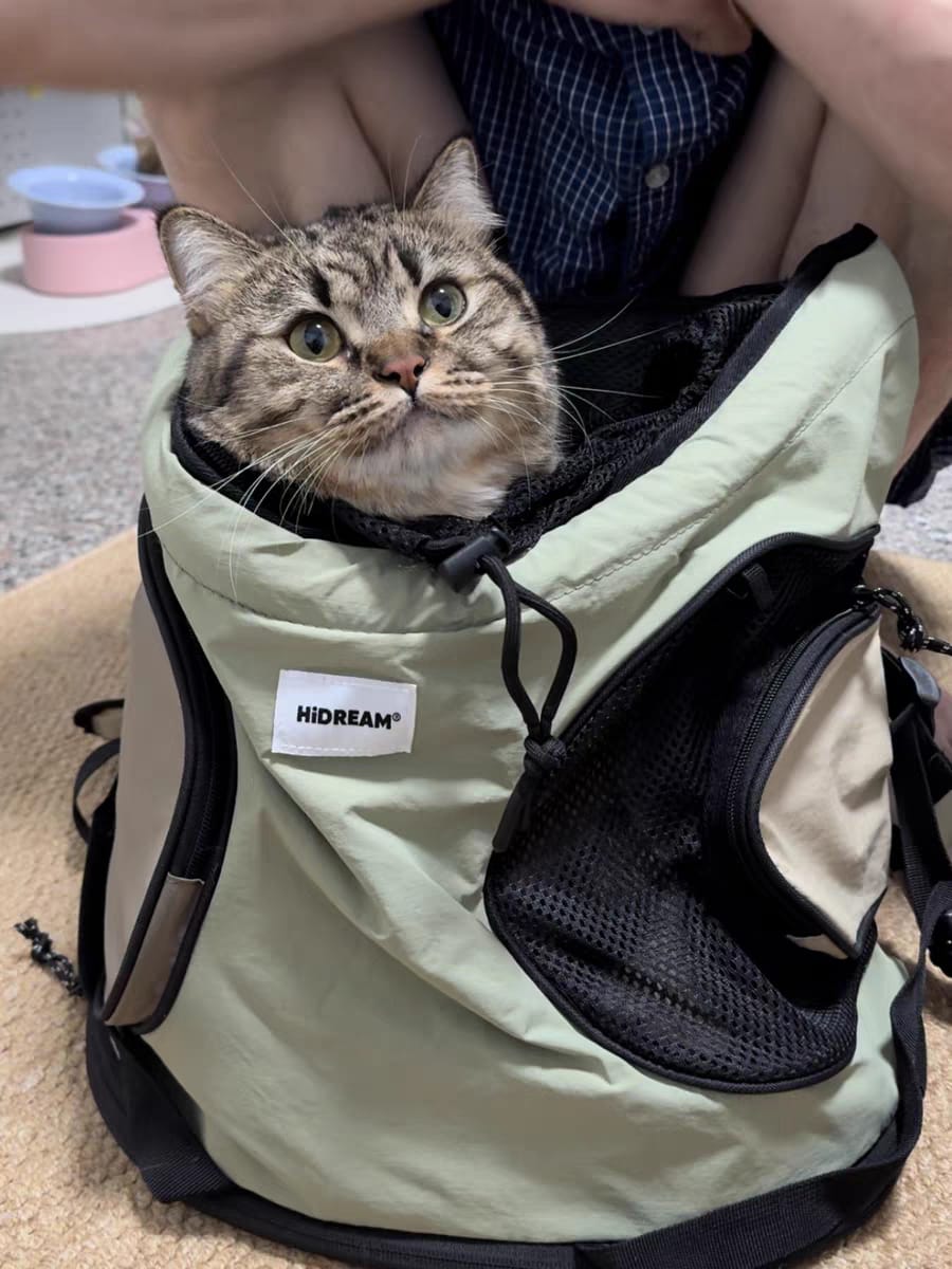 Customer photo review of Comfortable Labor-saving Front Pet Carrier