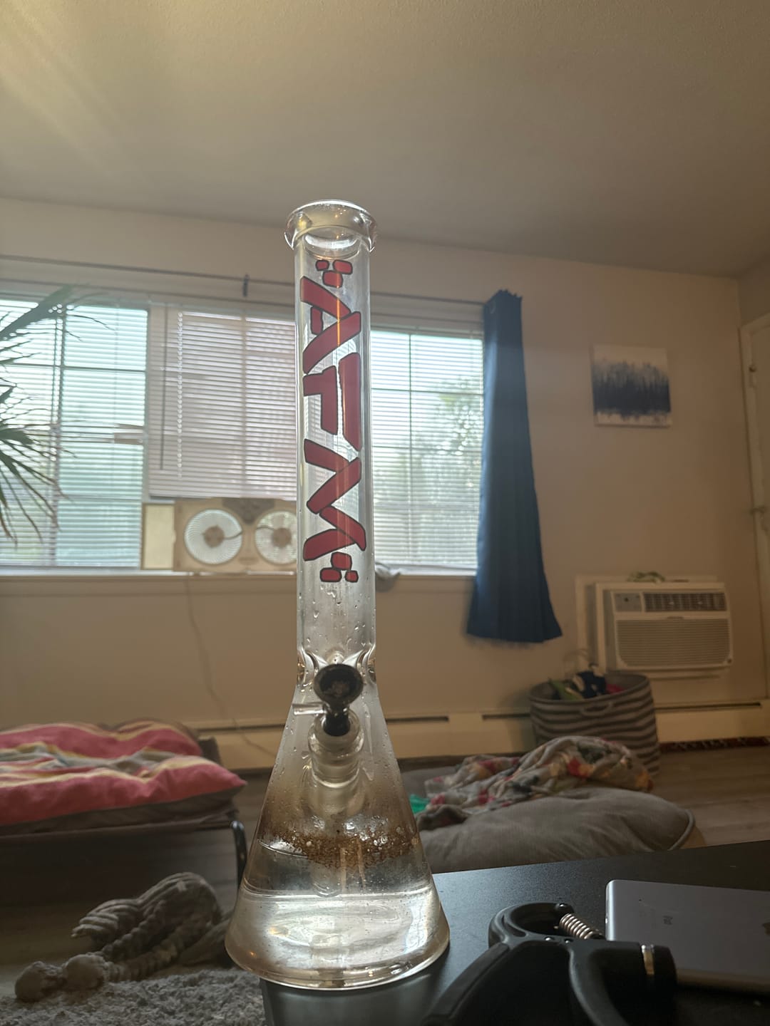 Customer photo review of 18" AFM Classic Clear Glass Beaker Bong 5mm