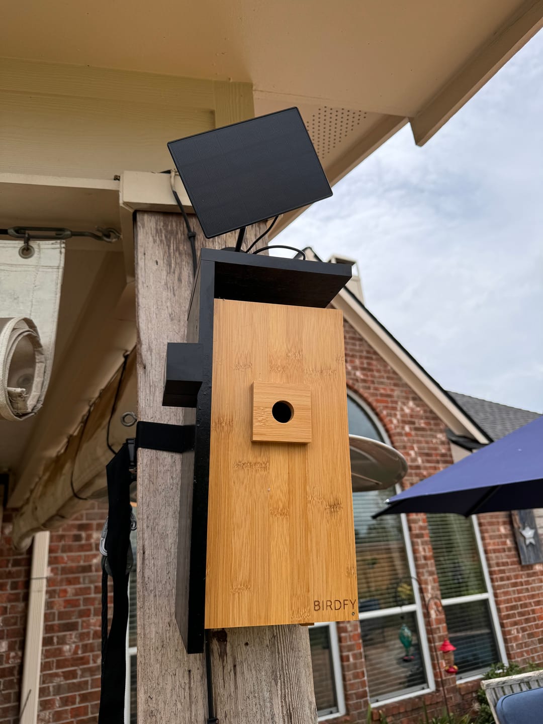 Customer photo review of Birdfy Nest - Smart Bird House with Dual Cameras