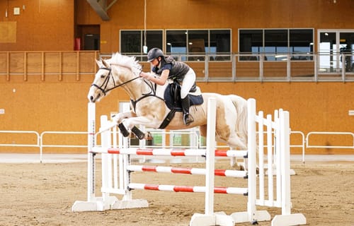 Customer photo review of V22 Lami-Cell Tendon Boots