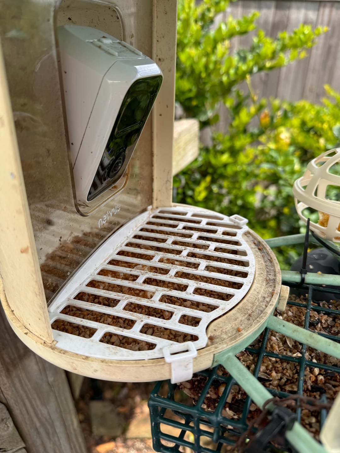 Customer photo review of Birdfy Bird Seed Guard