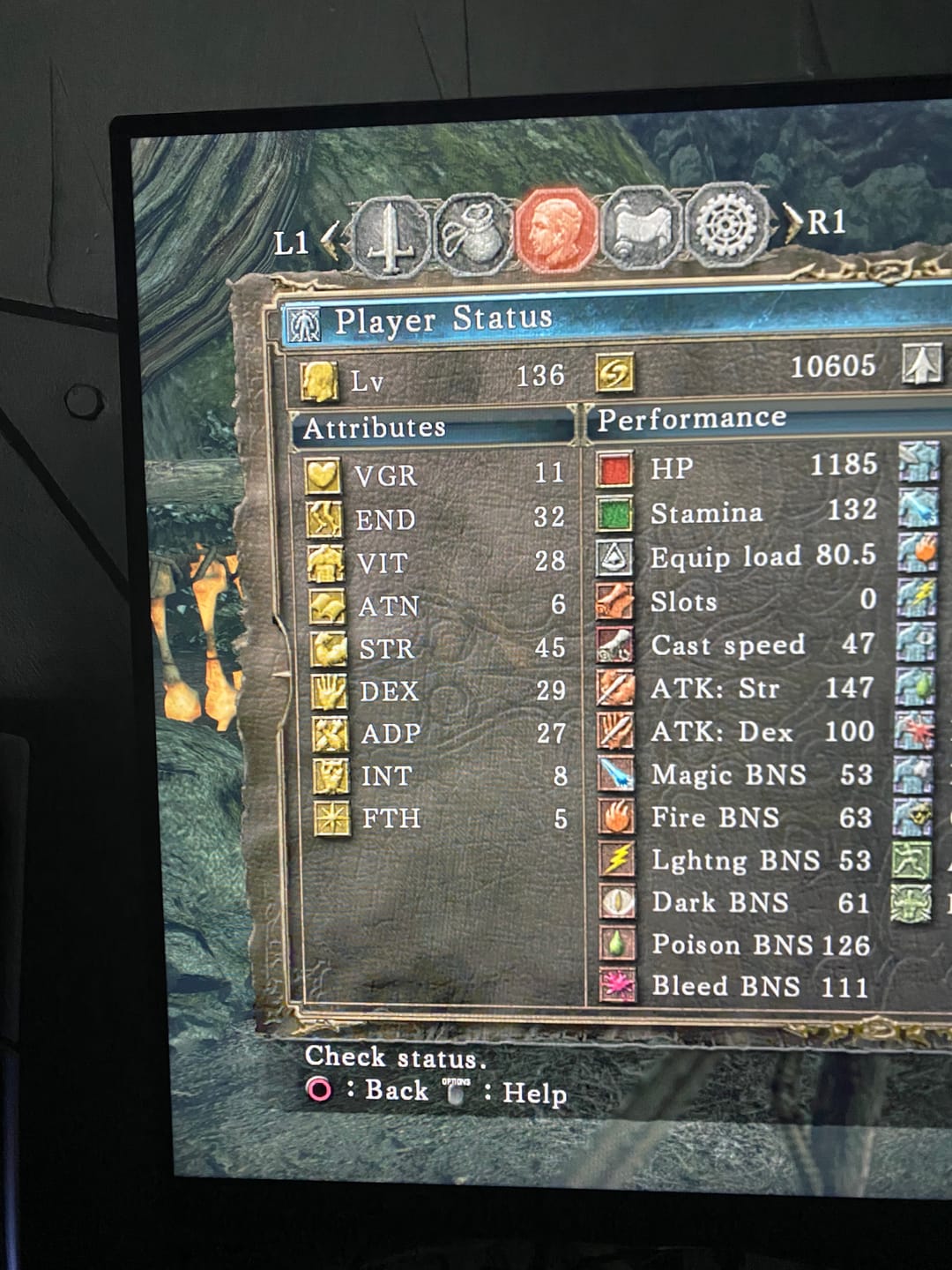 Customer photo review of Dark Souls 2 Items & Souls