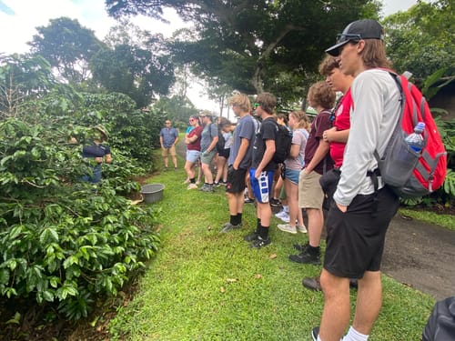 Customer photo review of Café Hacienda Doka Peaberry AA