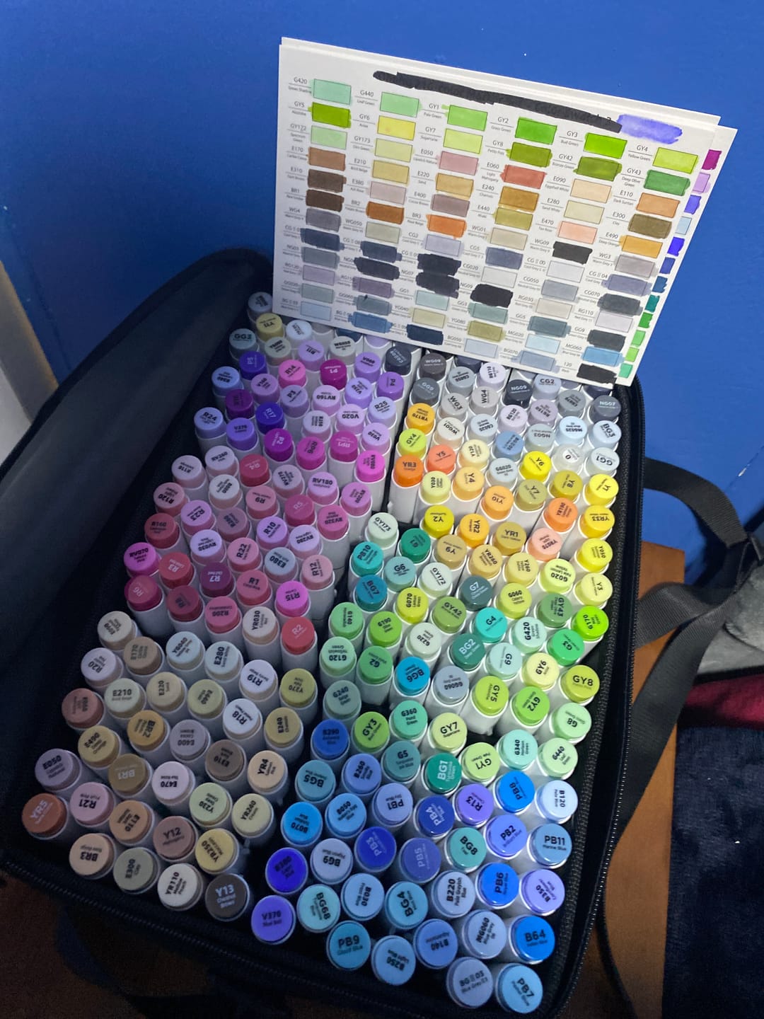 Customer photo review of Ohuhu - Set 216 Marcadores al Alcohol Honolulu B Doble Punta