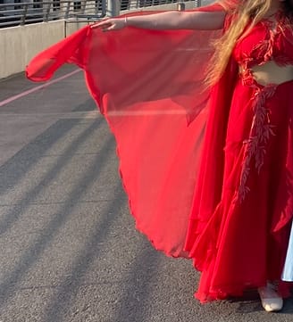 Customer photo review of Plain Chiffon Fabric