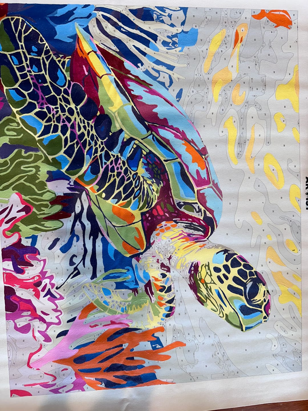 Customer photo review of Coral Reef Turtle