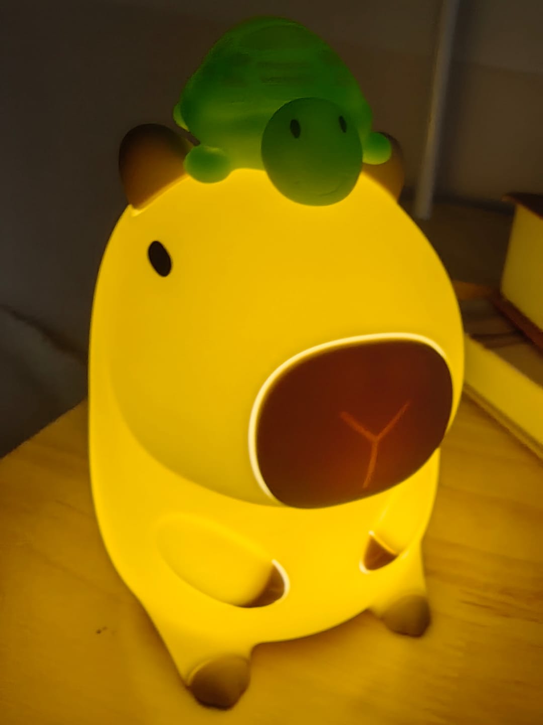 Customer photo review of Huggwaii Capybara With Turtle LED Squishy Night Light For Gift USB Rechargeable Capybara Lamp