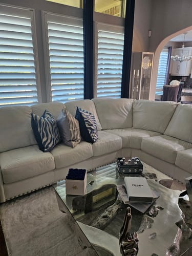 Customer photo review of Silver Zebra
