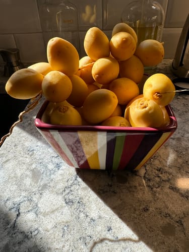 Customer photo review of Organic Yellow Barhi Dates (Khalal Barhi Dates)