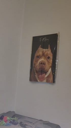 Customer photo review of Pet Art Canvas Wrap