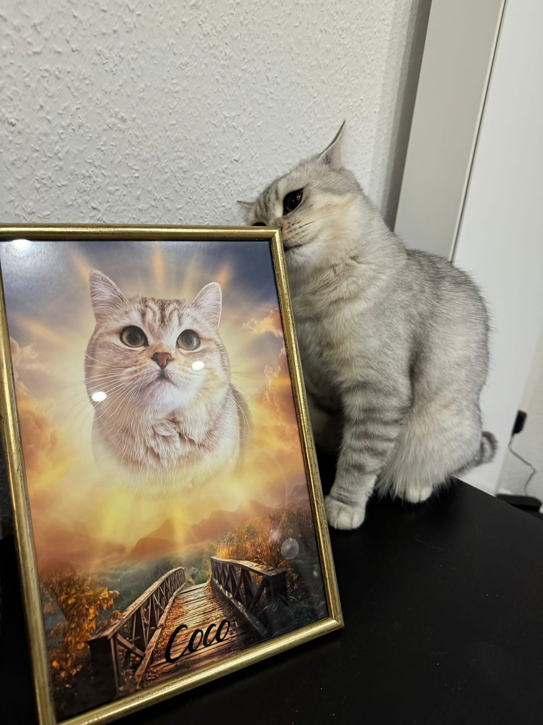 Customer photo review of Personalisiertes Portrait - Sonnen Stil