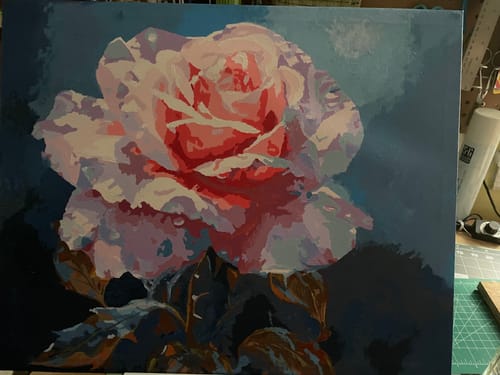 Customer photo review of Rosy Dawn