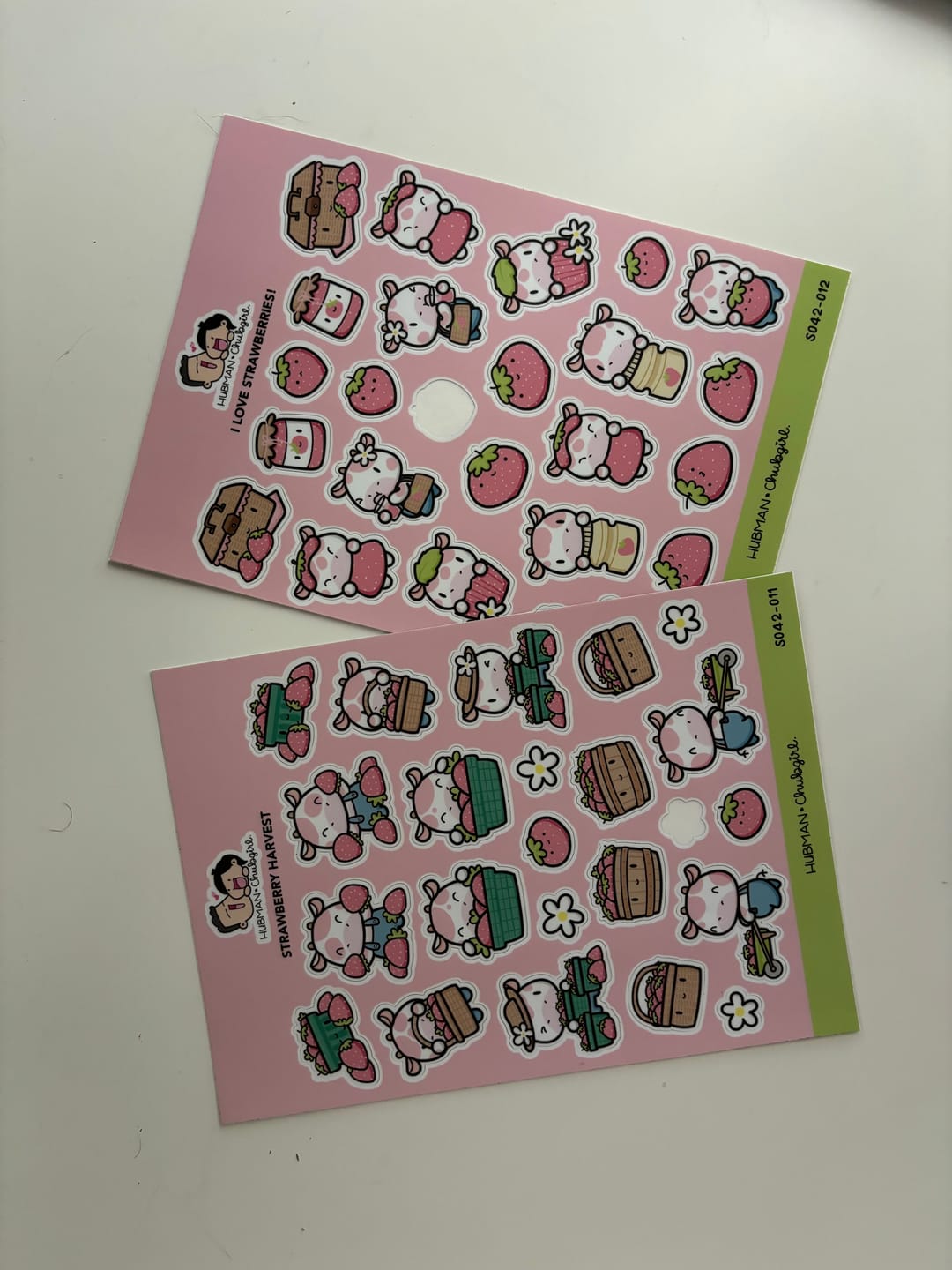 Customer photo review of Strawberry Harvest Sticker Sheet