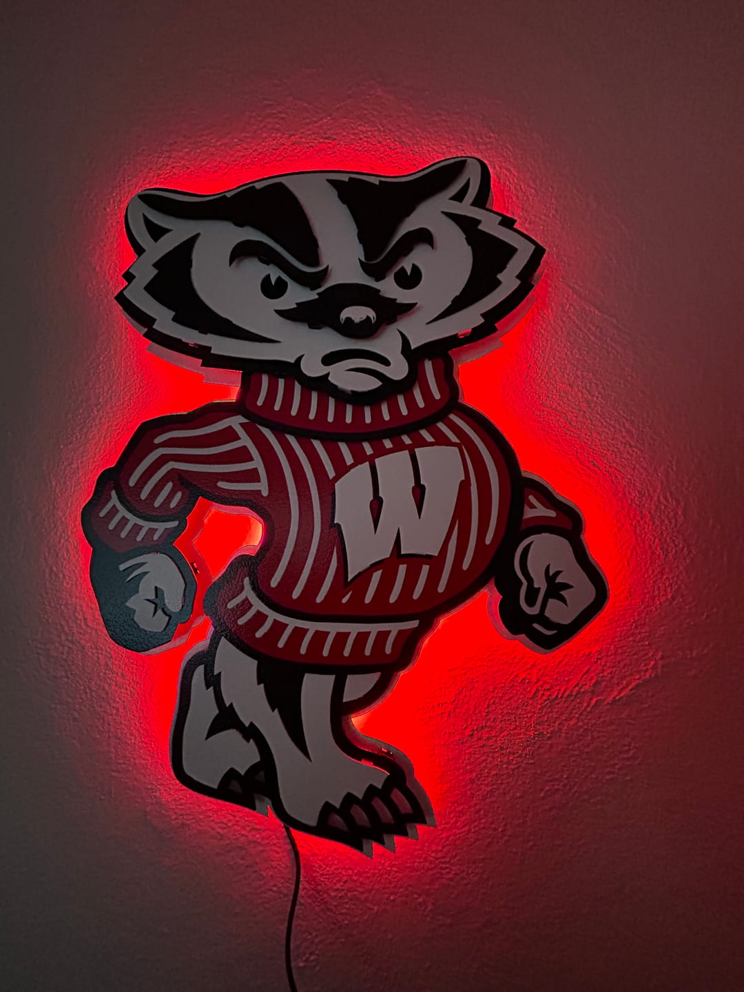 Customer photo review of Wisconsin "BADGER"  3D Vintage Metal Wall Art