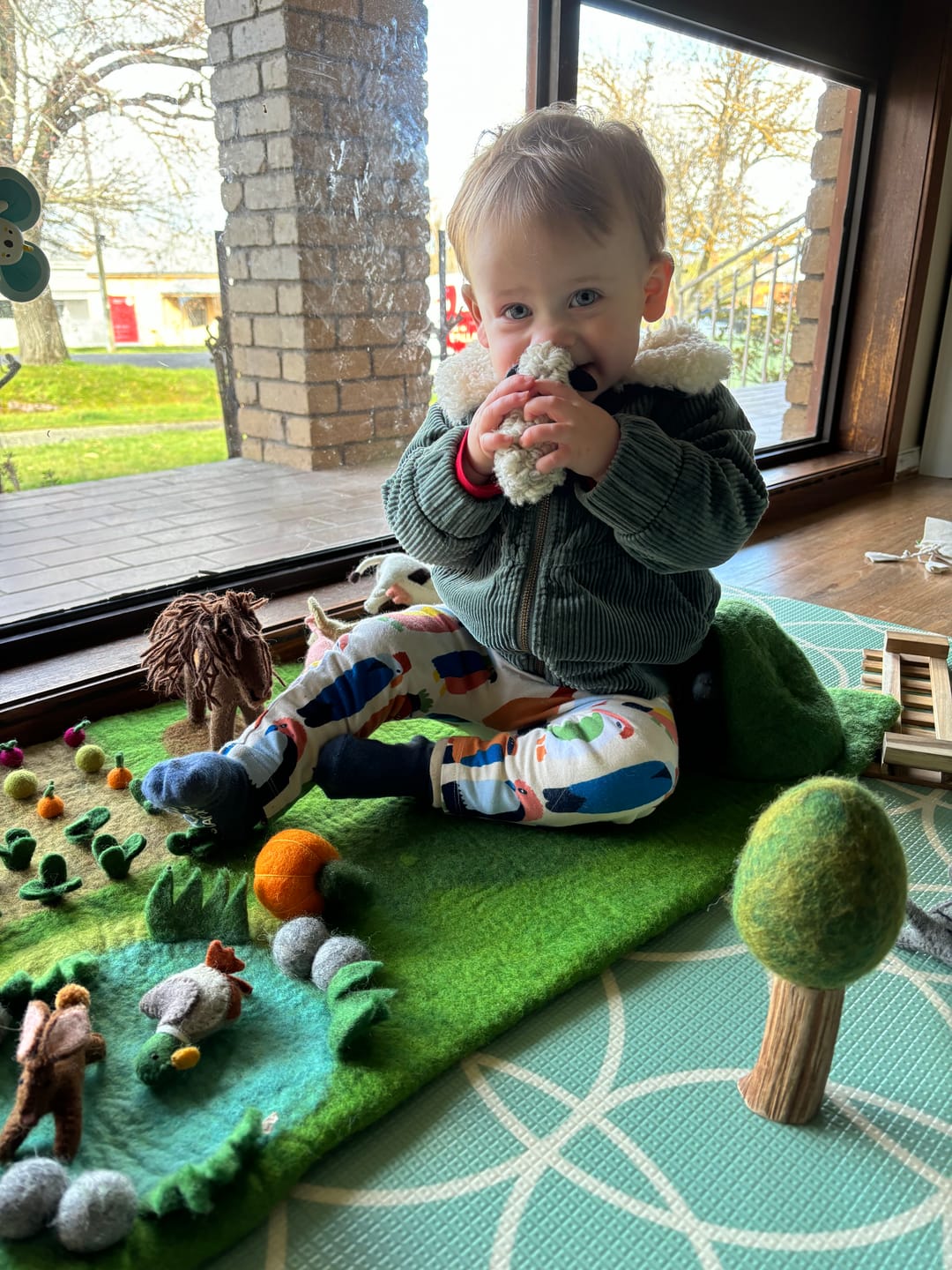 Customer photo review of Felt Farm Animals Toys Set - Set of 10 Toys