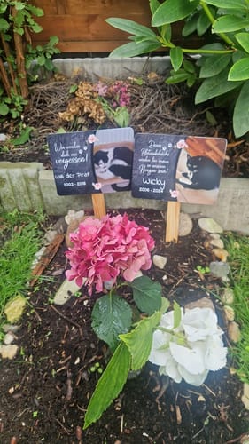 Customer photo review of Katzen Gedenktafel mit Foto & Spruch (UV- & Wetterfest)