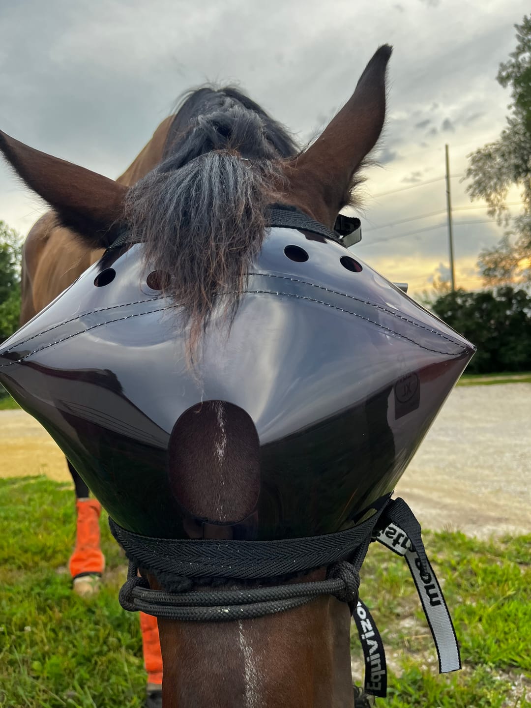 Customer photo review of Recovery Vizor - Dark UV Tint