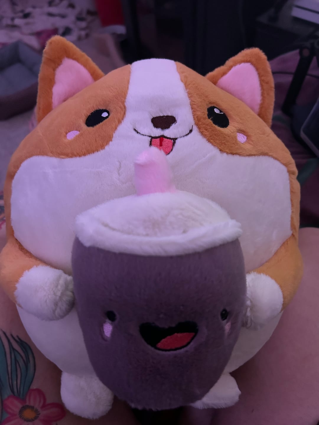 Customer photo review of Boba Corgi Plushies