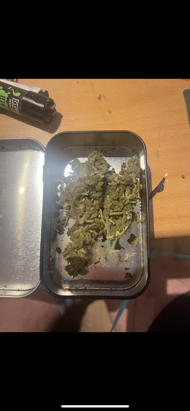 Customer photo review of Melon Kush - Power LVL: 3/5