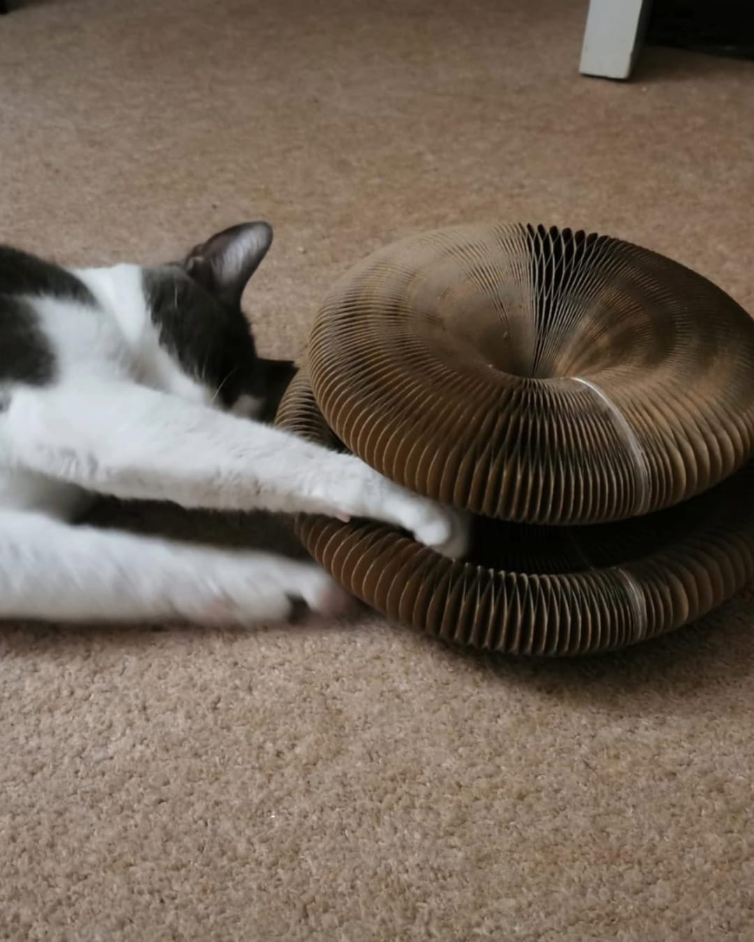 Customer photo review of Meowzy Maze