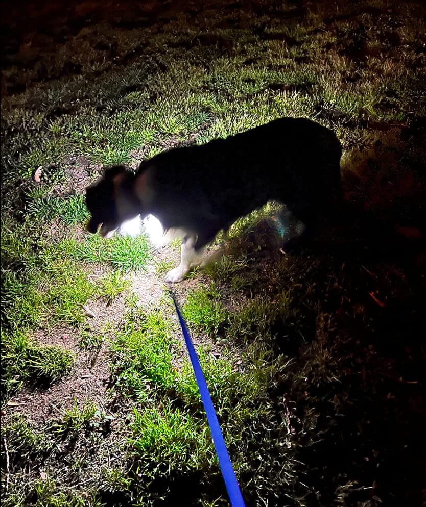 Customer photo review of LumaBeam™ - Multifunksjonell 230° LED-hodelykt