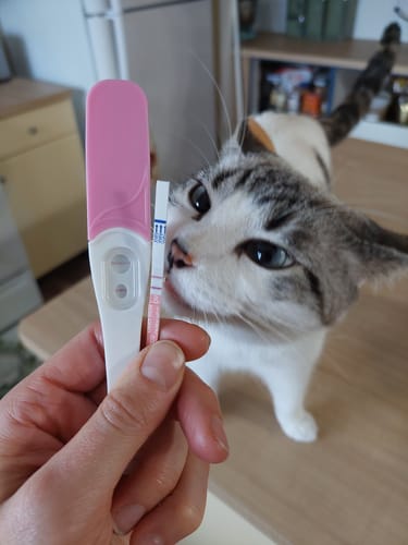 Customer photo review of Pregnancy Test Strips (Ultra-Sensitive)
