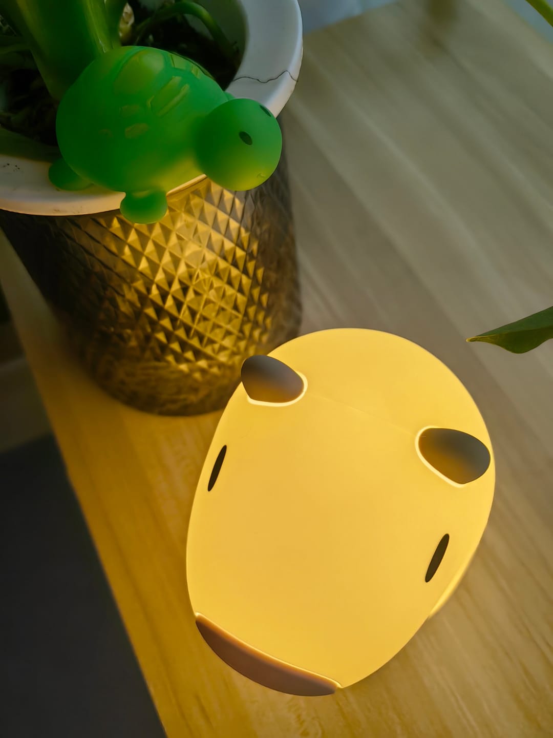 Customer photo review of Huggwaii Capybara With Turtle LED Squishy Night Light For Gift USB Rechargeable Capybara Lamp