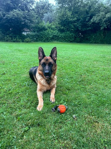 Customer photo review of Lucky Belly