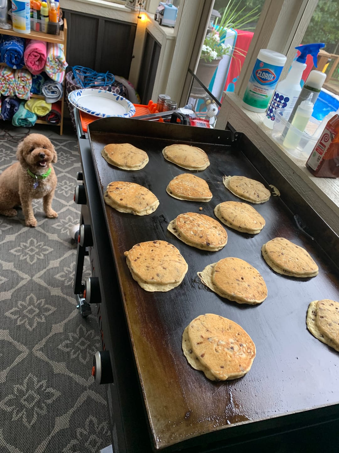 Customer photo review of Cousin T's Gourmet Gluten Free Chocolate Chip Pancake Mix