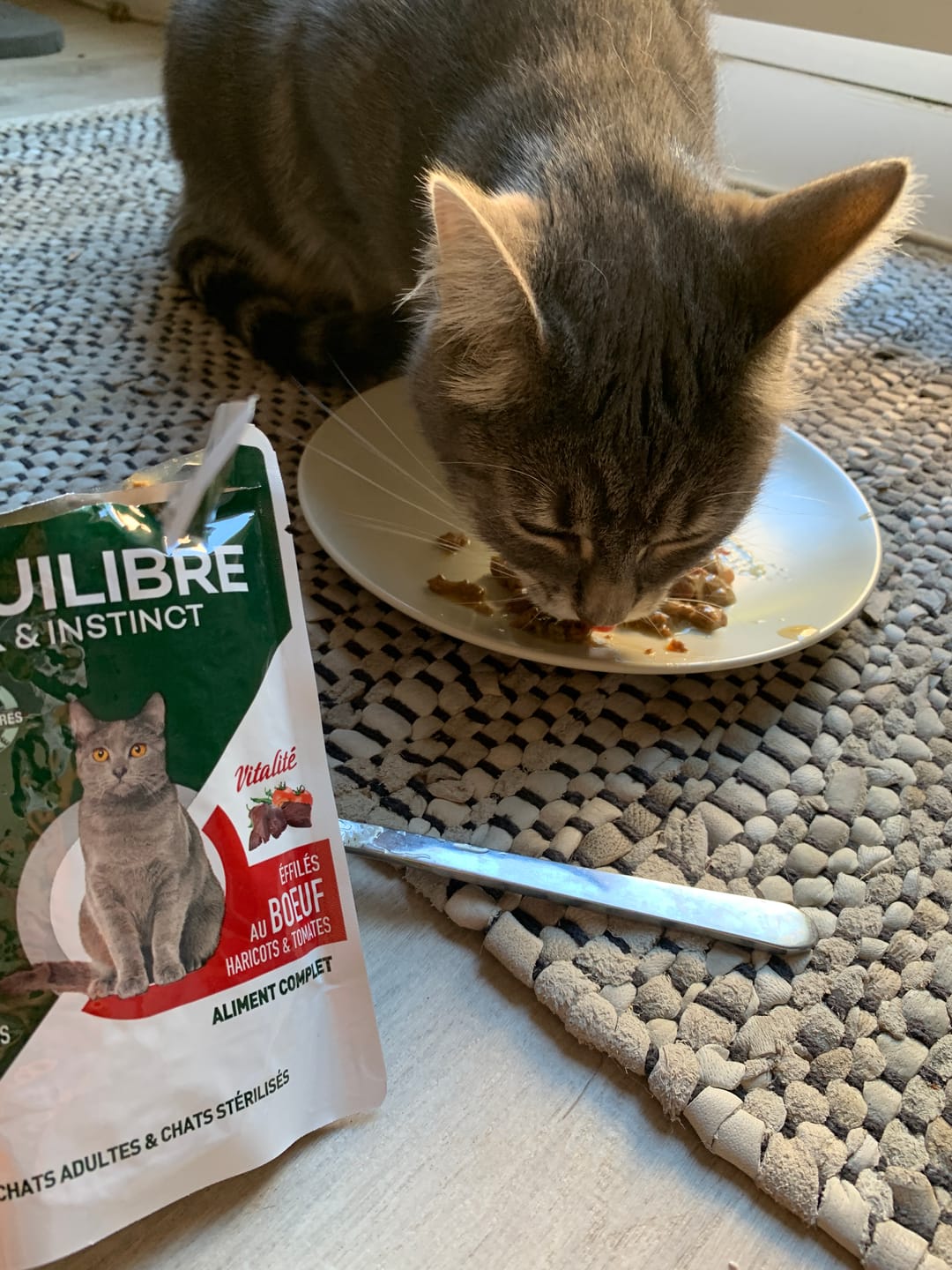 Customer photo review of Effilés au bœuf, haricots & tomates (chat stérilisé et chat adulte)