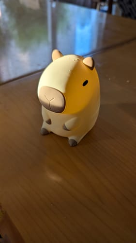 Customer photo review of MeWaii® Capybara Squishy Night Light - Perfect Gift 🎁