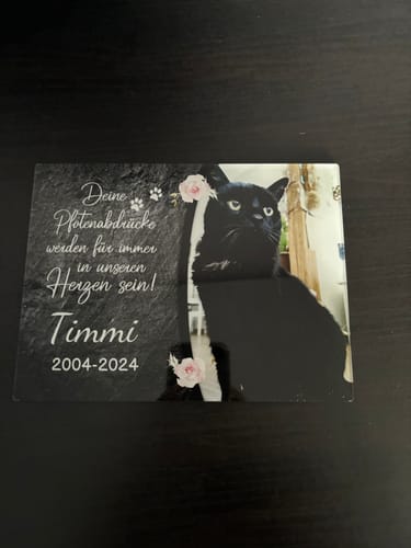 Customer photo review of Katzen Gedenktafel mit Foto & Spruch (UV- & Wetterfest)