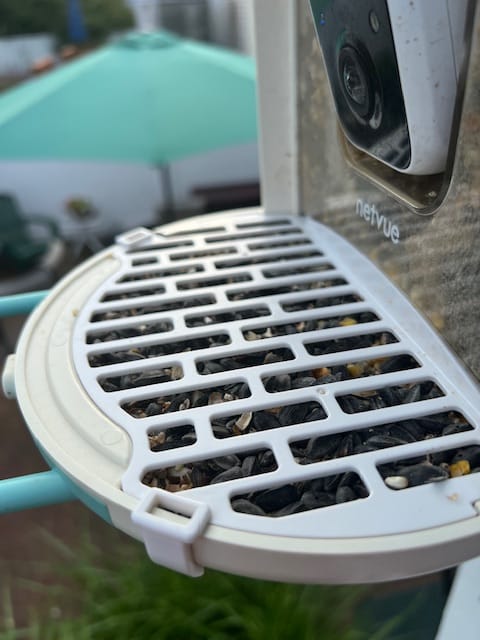 Customer photo review of Birdfy Bird Seed Guard