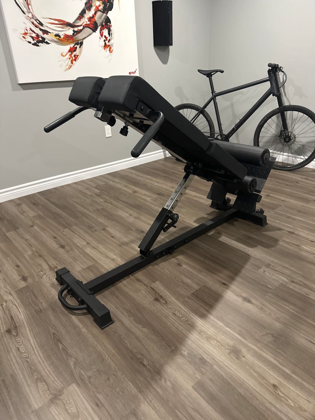 Customer photo review of Nordic Back Extension Machine V2