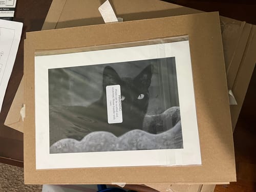 Customer photo review of 6x9 Giclee Fine Art Prints