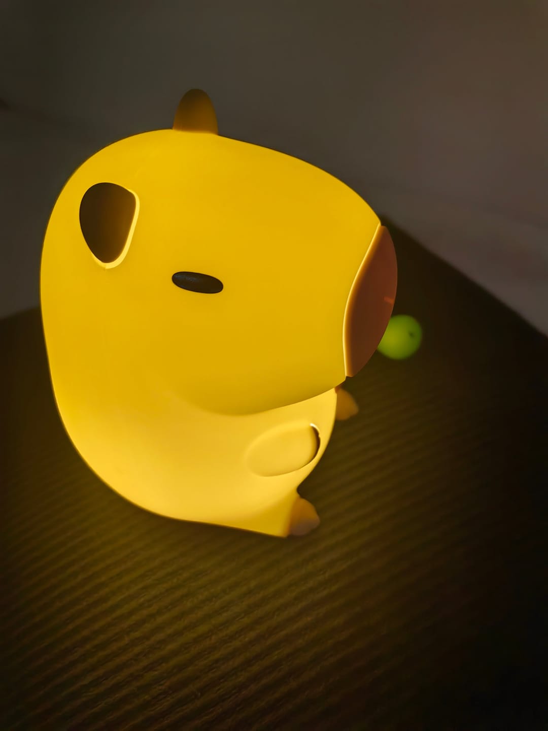 Customer photo review of Huggwaii Capybara With Turtle LED Squishy Night Light For Gift USB Rechargeable Capybara Lamp