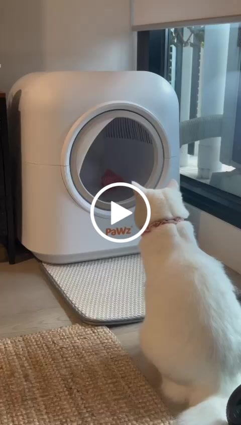Customer video review of Pawz Smart Cat Litter Box Automatic Self Cleaning with App Remote Control