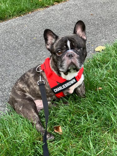 Customer photo review of Custom Name Patches