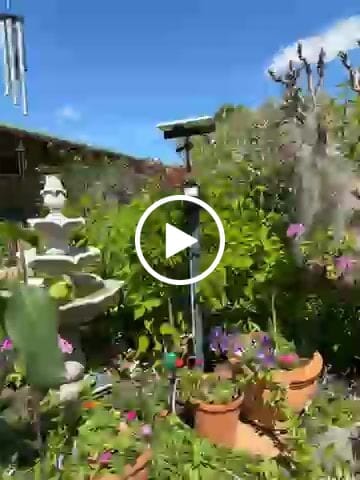 Customer video review of Solar Fountain & Pond Pump w/ Panel & Battery - 800LPH