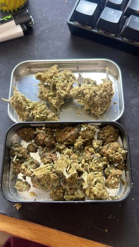 Customer photo review of 🍉 Melon Kush - POWER LVL: 4/5