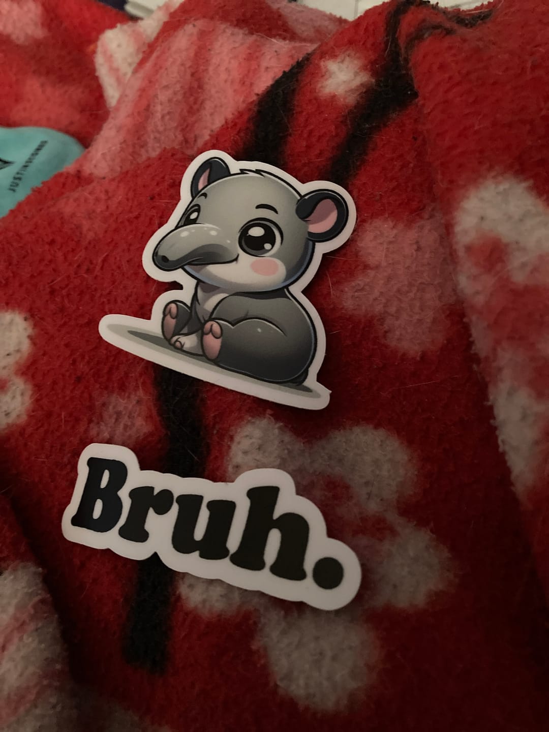 Customer photo review of KIDS STICKER CLUB | Monthly Subscription