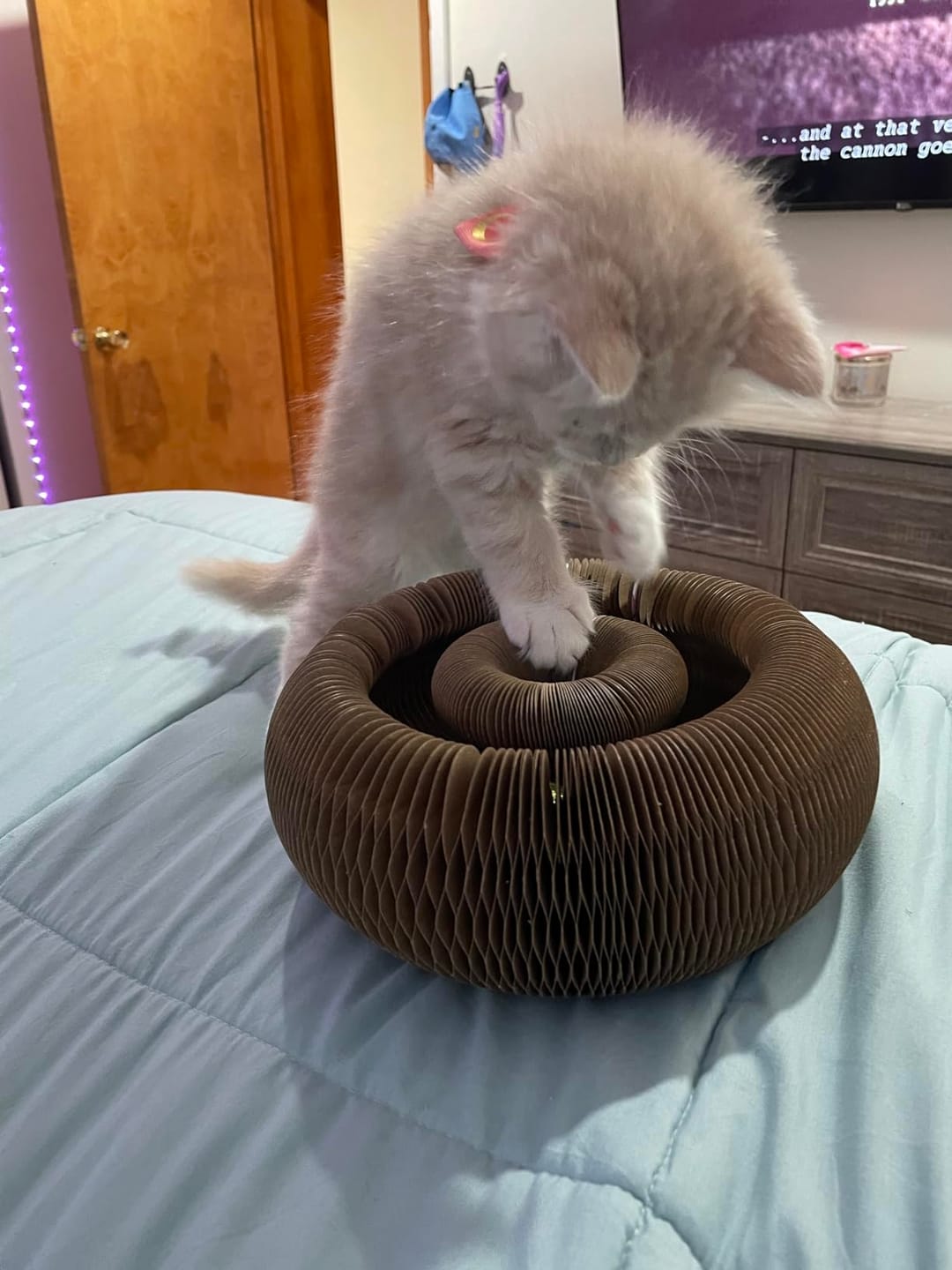 Customer photo review of Meowzy Maze
