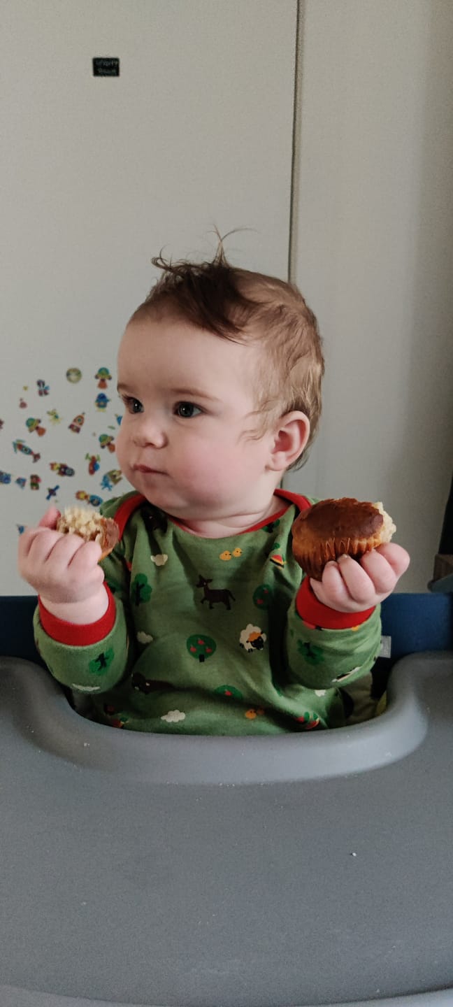 Customer photo review of Animal Friends Organic Romper Playsuit