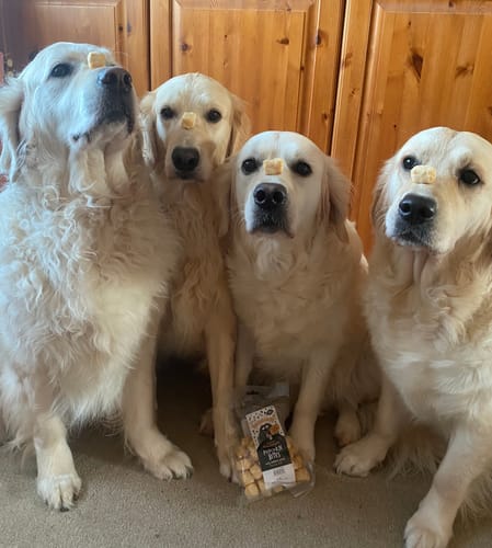 Customer photo review of Handmade Himalayan Popcorn Bites for Dogs