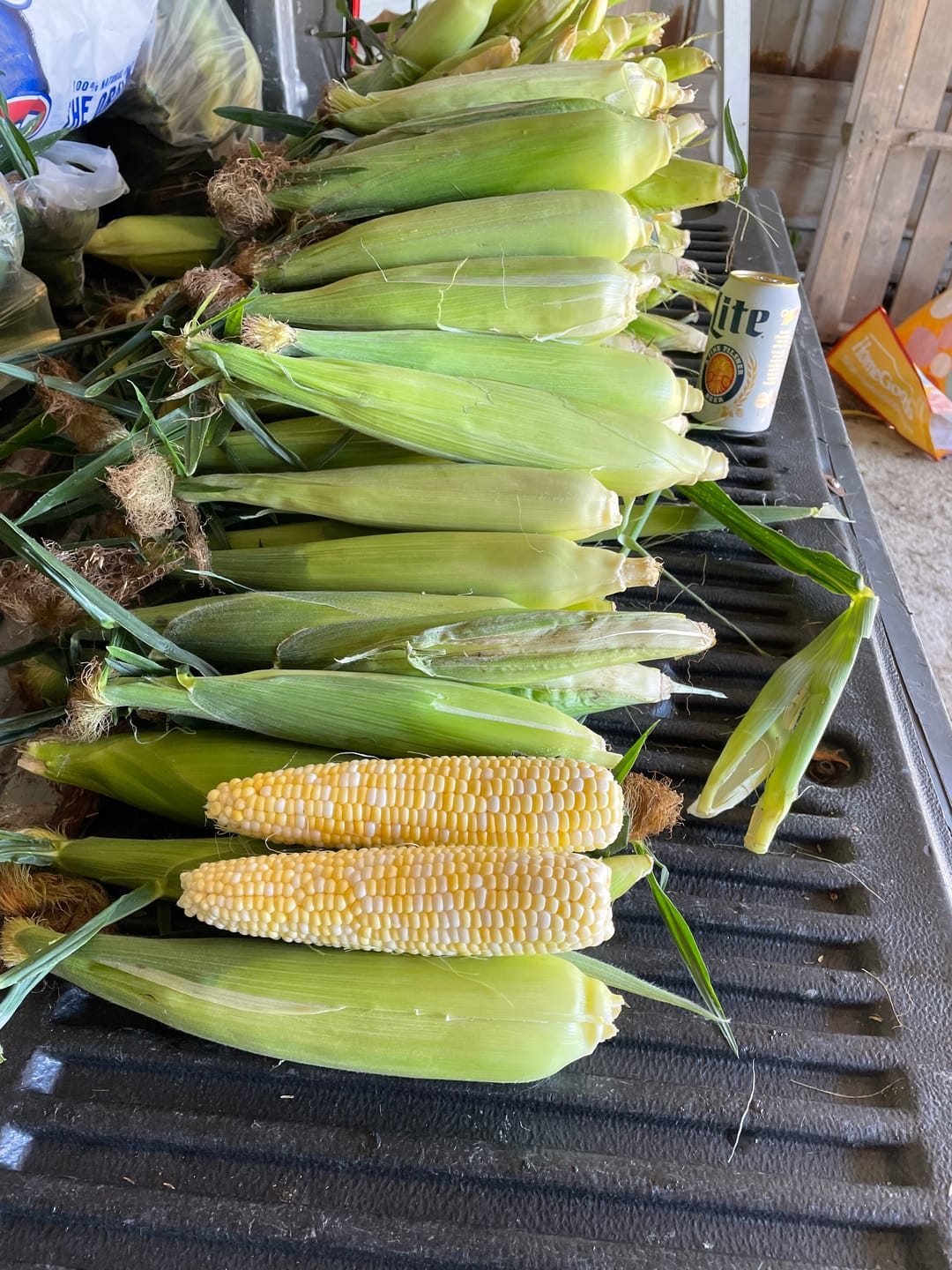 Customer photo review of Quick Trip Attribute II Sweet Corn (Roundup Ready)