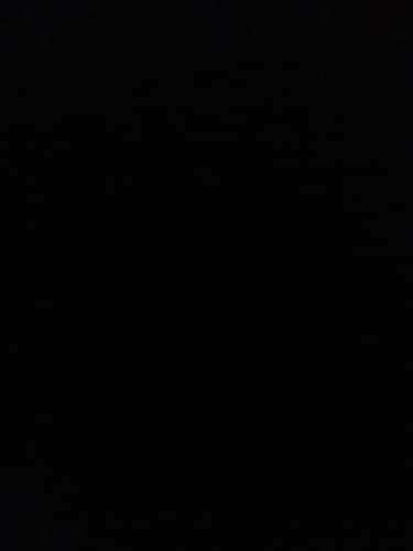 Customer photo review of The Pro Kit