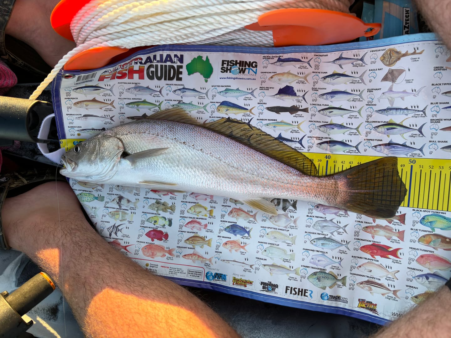 Customer photo review of GUPPIE SHAD - 2.25"