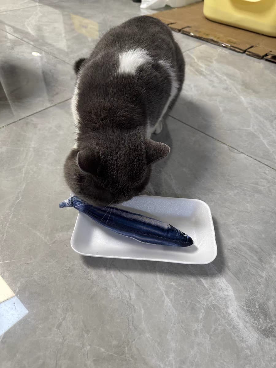 Customer photo review of 100% Natural Catnip Cat Toy
