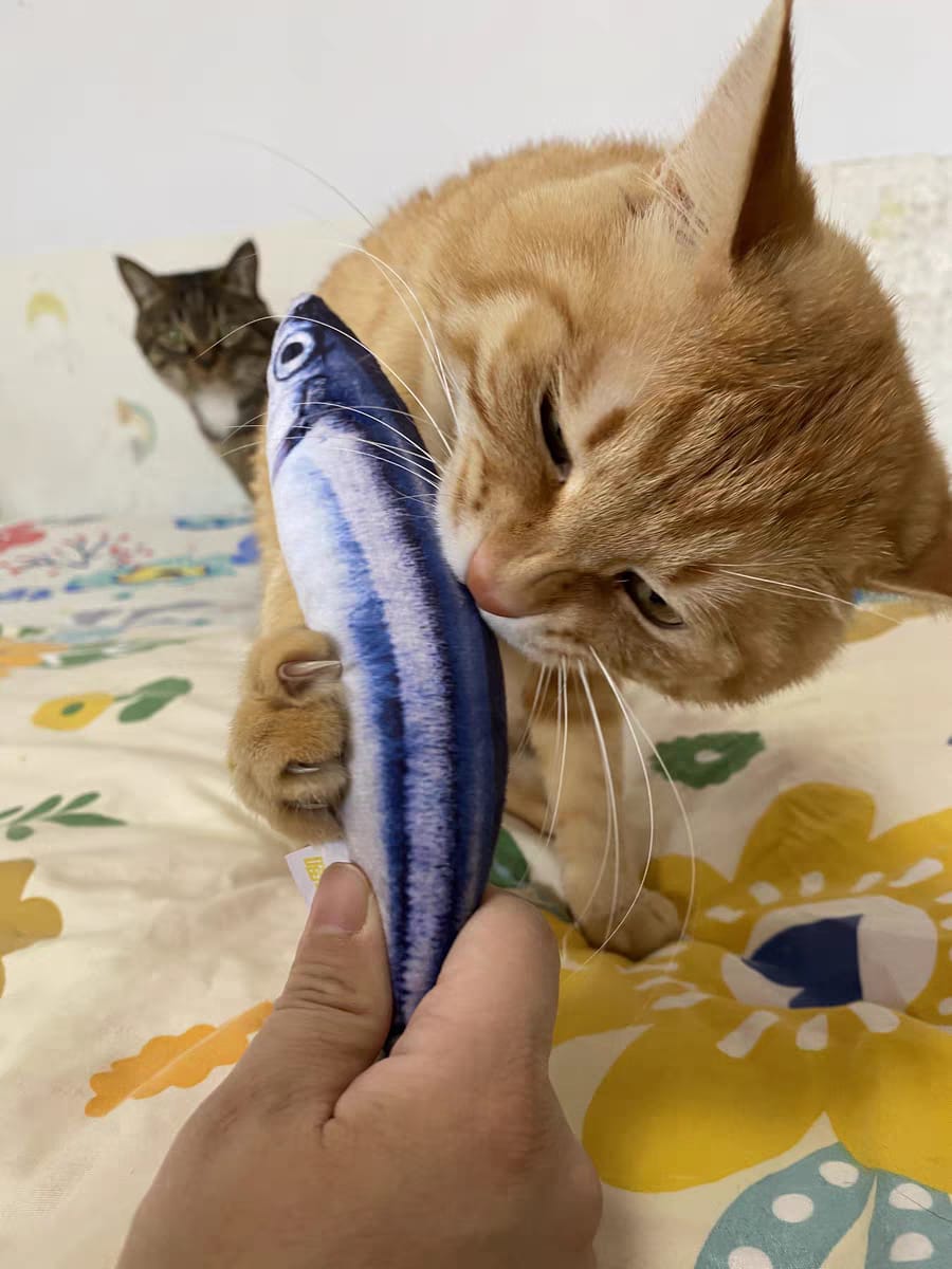 Customer photo review of 100% Natural Catnip Cat Toy